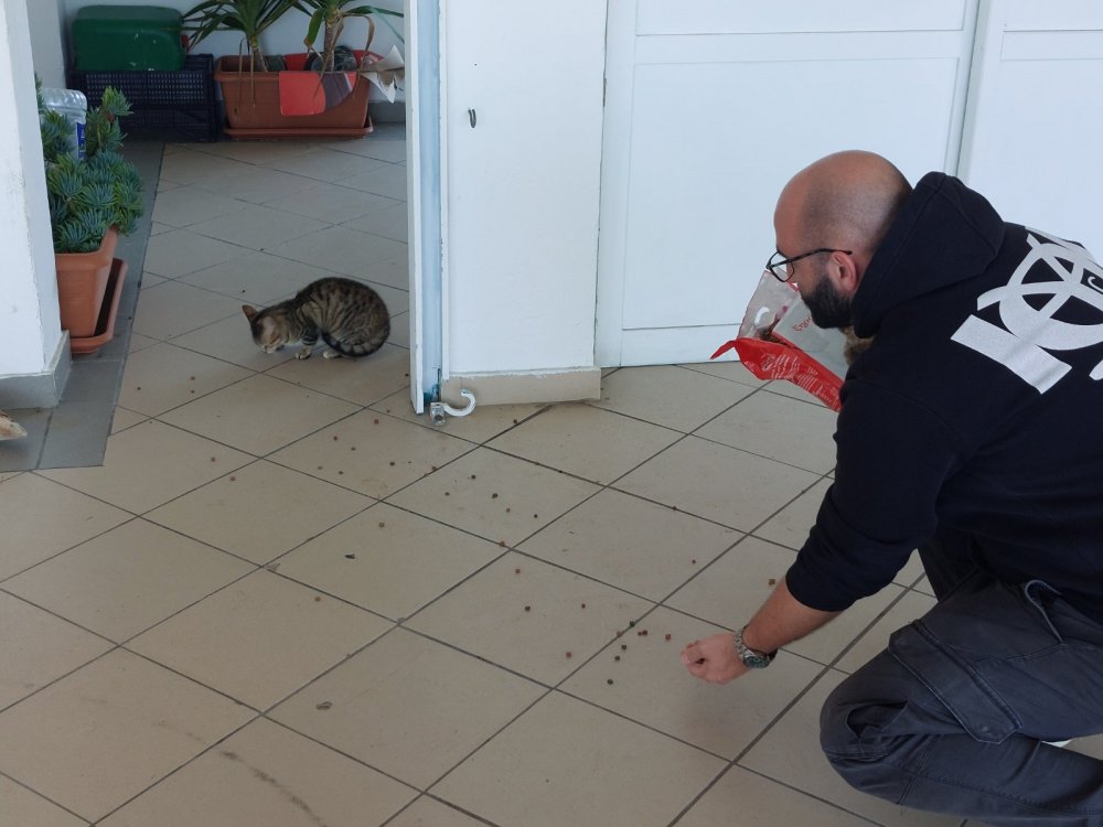 ΑΛΟΝΝΗΣΟΣ : Δράση για την Παγκόσμια Ημέρα Αδέσποτων Ζώων και Πανελλήνια Σχολική Ημέρα Φιλοζωίας (φωτο)