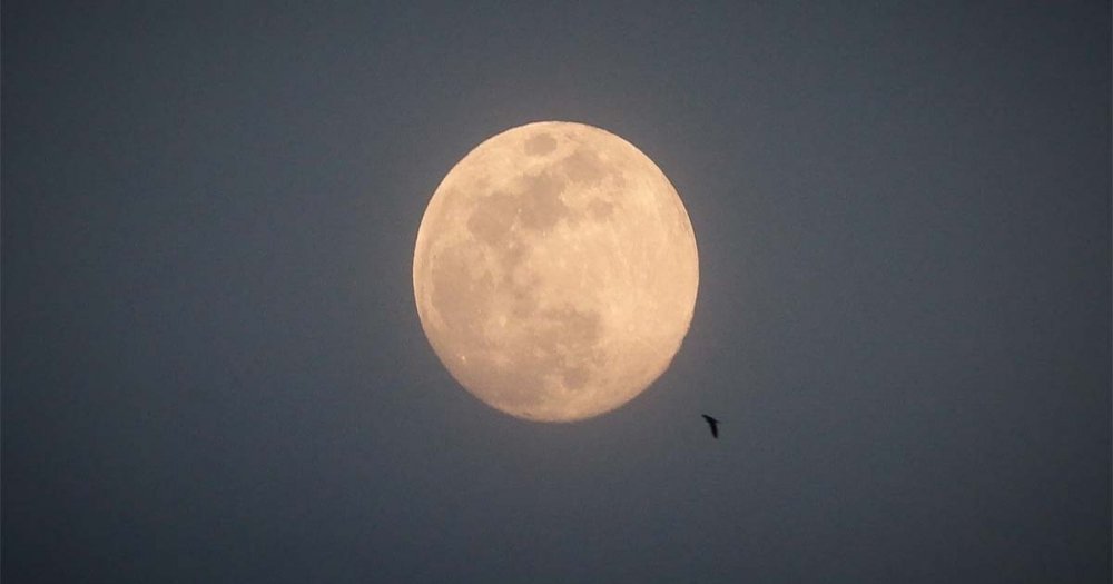 Πανσέληνος Μαΐου: Πότε θα εμφανιστεί το “φεγγάρι των λουλουδιών” στον ουρανό