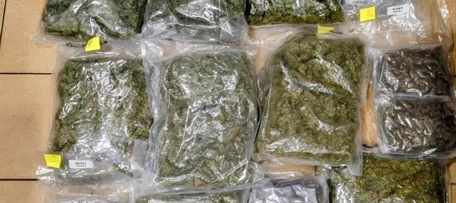Σύλληψη ημεδαπού και κατάσχεση άνω των 13 κιλών ακατέργαστης κάνναβης στη Σκιάθο