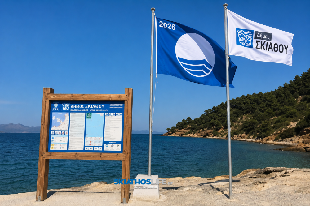 Τις 12 