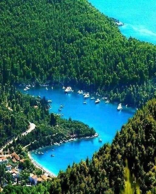 5 Ιουνίου παγκόσμια μέρα περιβάλλοντος | σχόλιο του Άγγελου Ξηντάρη