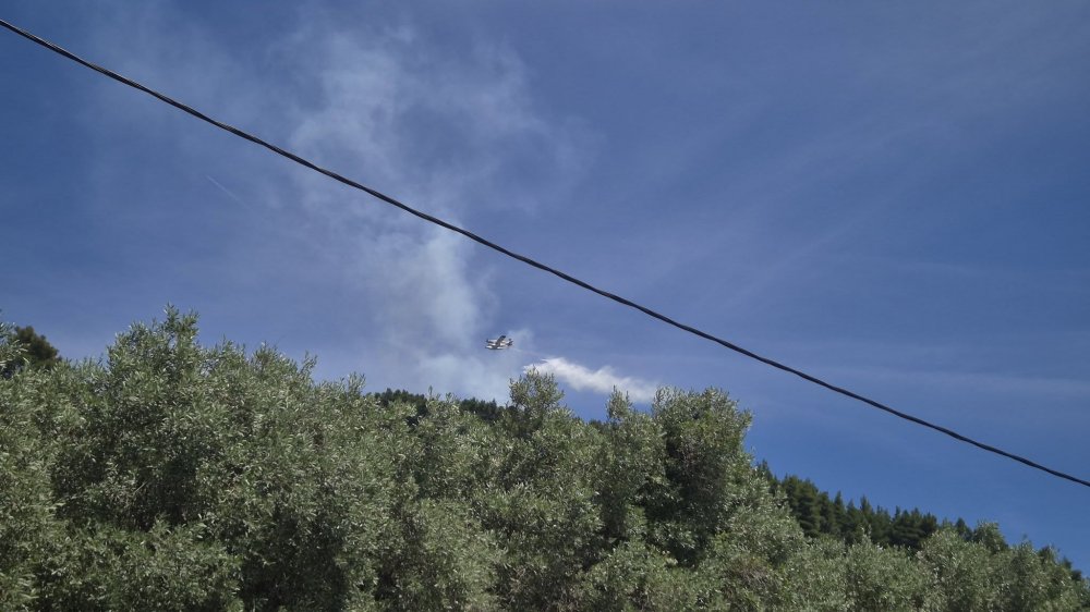 Μεγάλη φωτιά στη Σκόπελο – Σηκώθηκαν εναέρια πυροσβεστικά μέσα (ΦΩΤΟ-VIDEO)