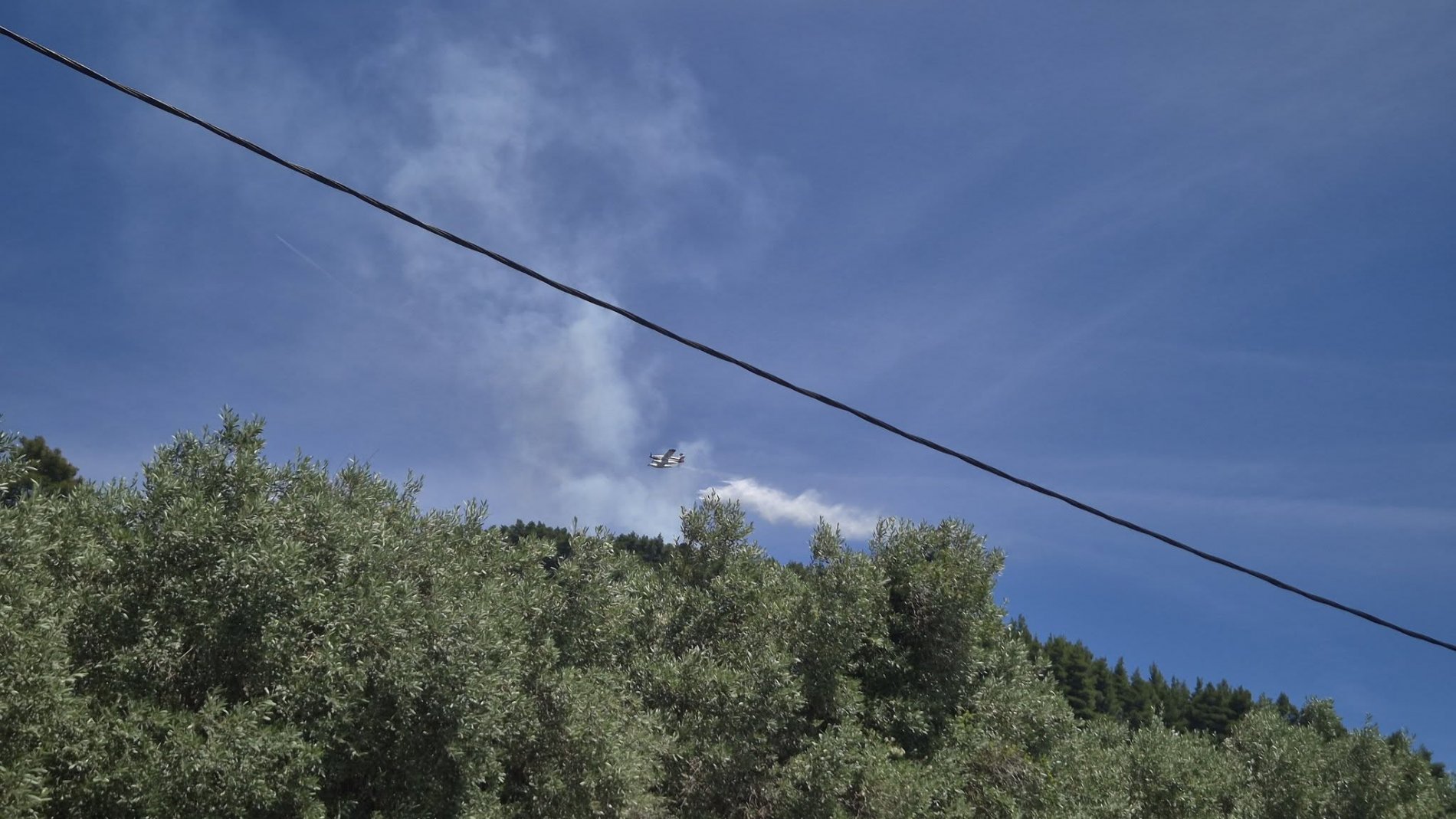Μεγάλη φωτιά στη Σκόπελο – Σηκώθηκαν εναέρια πυροσβεστικά μέσα (ΦΩΤΟ-VIDEO)