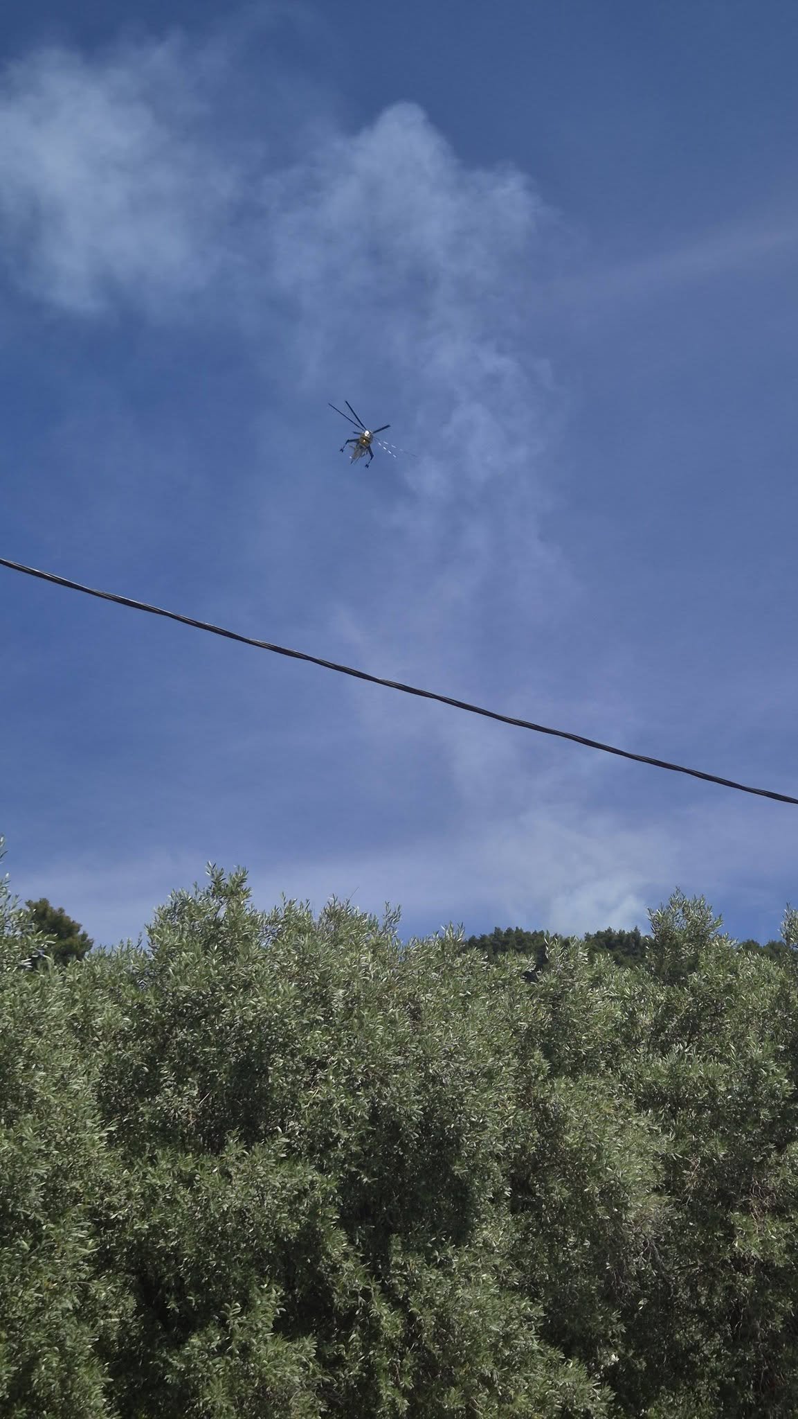 Μεγάλη φωτιά στη Σκόπελο – Σηκώθηκαν εναέρια πυροσβεστικά μέσα (ΦΩΤΟ-VIDEO)