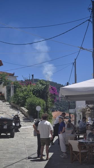 Μεγάλη φωτιά στη Σκόπελο – Σηκώθηκαν εναέρια πυροσβεστικά μέσα (ΦΩΤΟ-VIDEO)