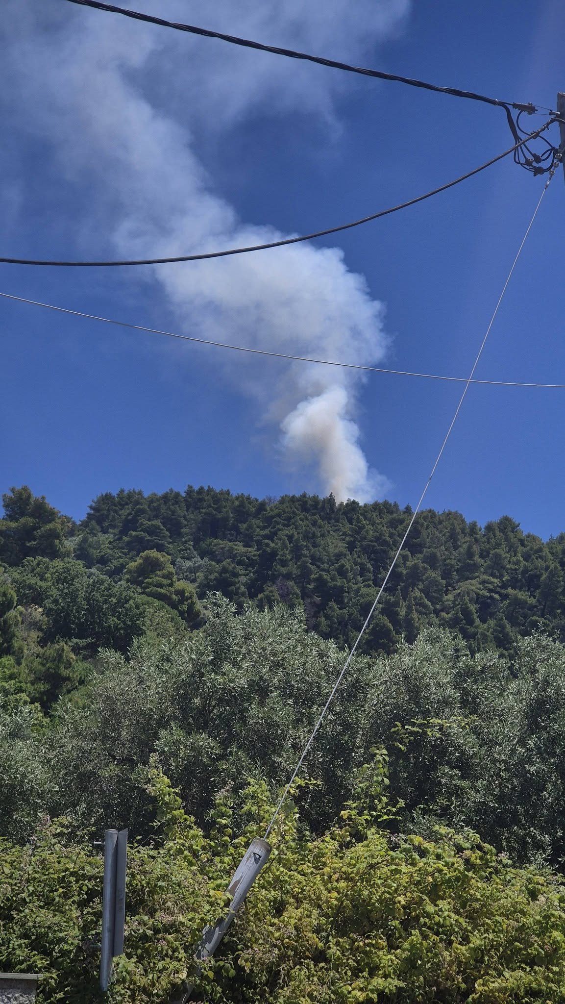 Μεγάλη φωτιά στη Σκόπελο – Σηκώθηκαν εναέρια πυροσβεστικά μέσα (ΦΩΤΟ-VIDEO)