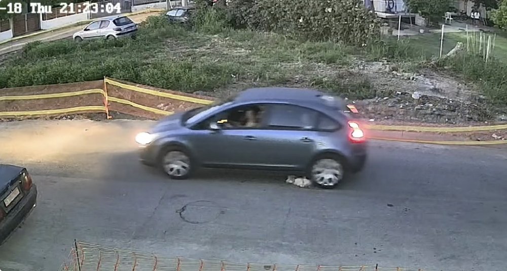 Βίντεο-σοκ στη Γαστούνη: Σταματά μπροστά στον σκύλο και μετά περνά από πάνω του – Εντολή για τον εντοπισμό του οδηγού