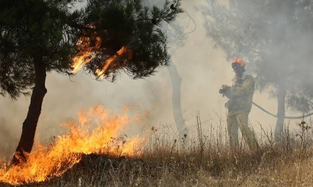 ΣΚΟΠΕΛΟΣ : Μικρής έκτασης φωτιά στην Αγ. Παρασκευή στις Ράχες