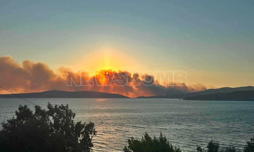 Φωτιά στη Σκύρο: Ενισχύονται οι πυροσβεστικές δυνάμεις - Μηνύματα από το 112 για εκκενώσεις