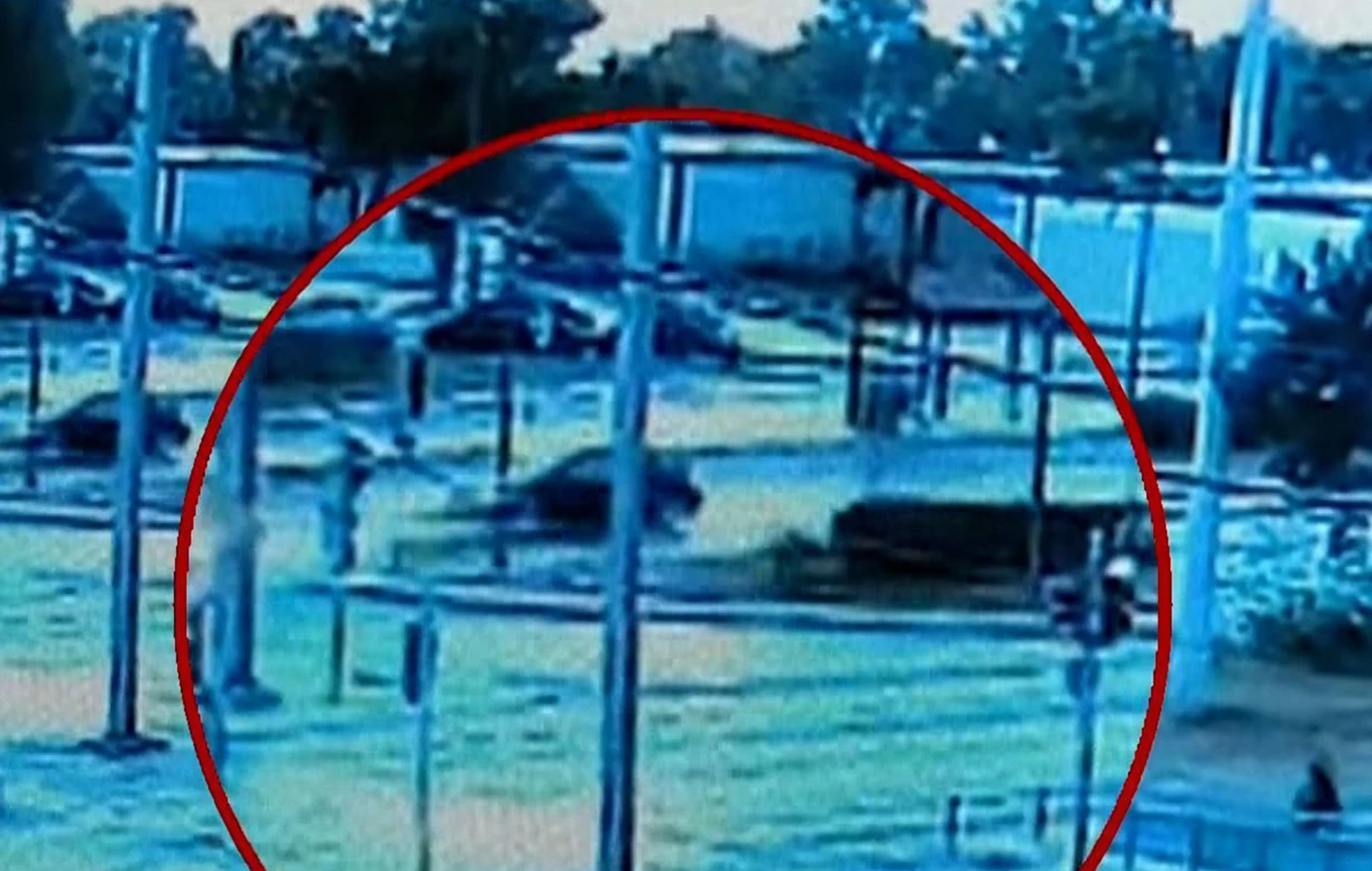 Τροχαίο στη Βούλα: Κλινικά νεκρός ο 39χρονος, δωρίζονται τα όργανά του – Το GPS κατηγορεί ο οδηγός ταξί