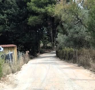 Νέες παρεμβάσεις του Δήμου Σκοπέλου στην περιοχή Ράχες και σε δρόμους προς παραλίες (video)