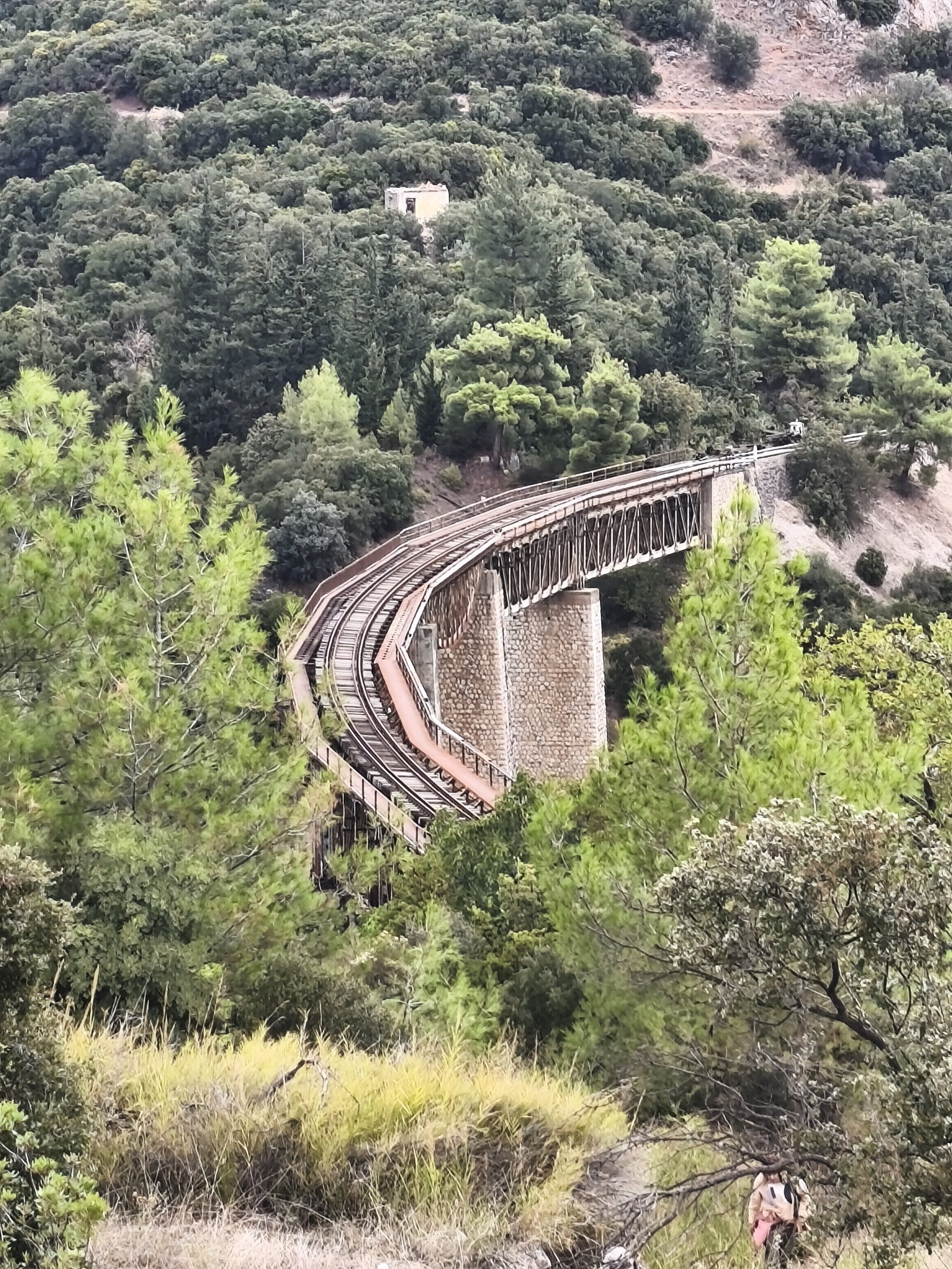 Ημερήσια εκδρομή στον Γοργοπόταμο για τα μέλη των ΚΑΠΗ του Δήμου Βόλου (ΦΩΤΟ)