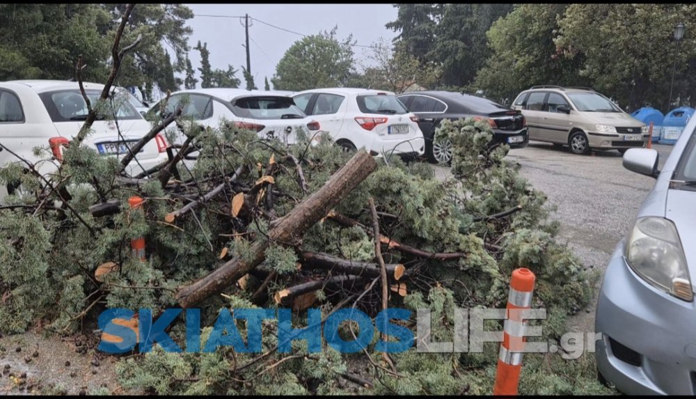 Δήμος Σκιάθου: Οδηγίες προς τους πληγέντες από τις πλημμύρες  