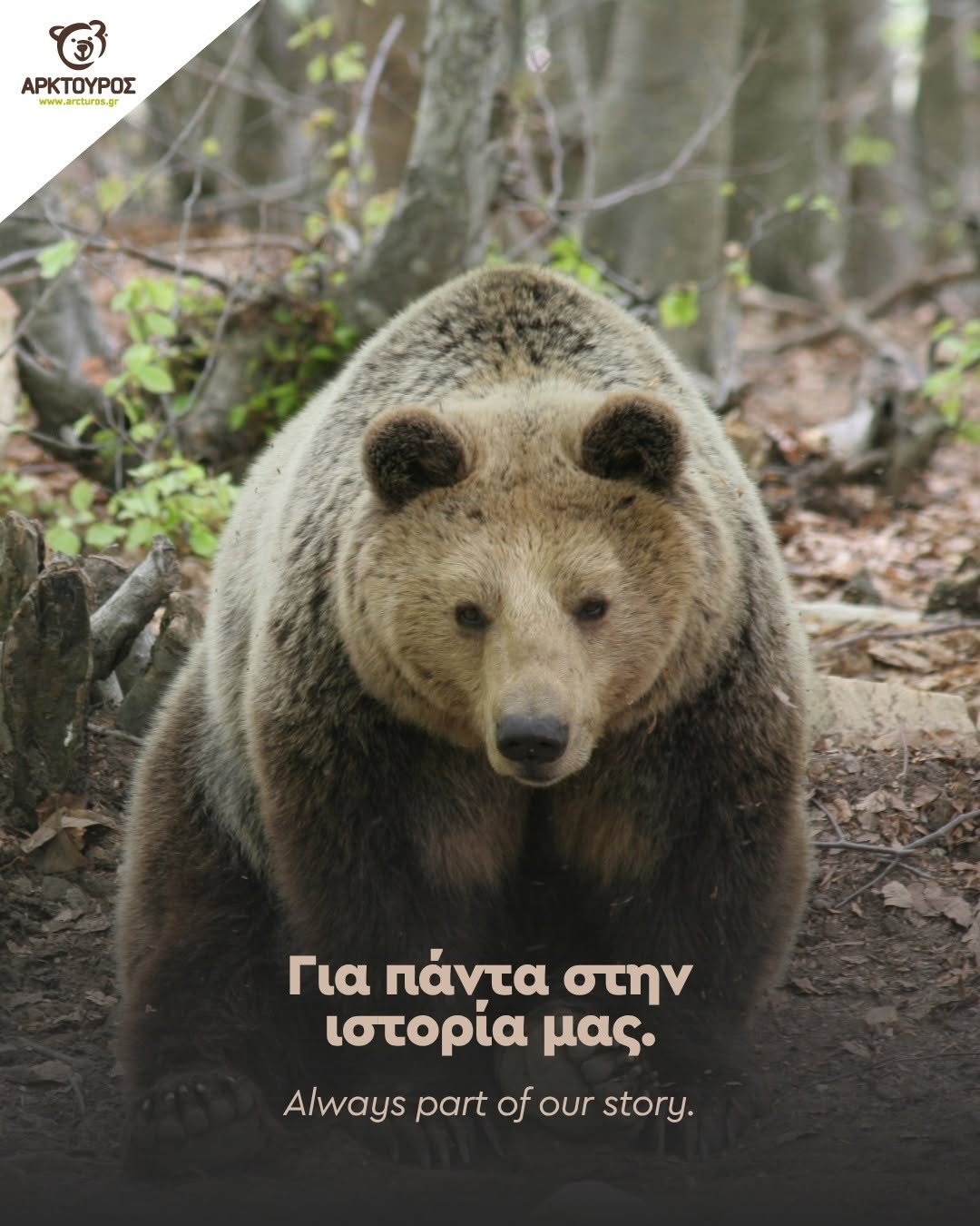 Συγκίνηση στον ΑΡΚΤΟΥΡΟ: Έφυγε η Κατερίνα, η αρκούδα που για 30 χρόνια έγινε κομμάτι της ιστορίας του