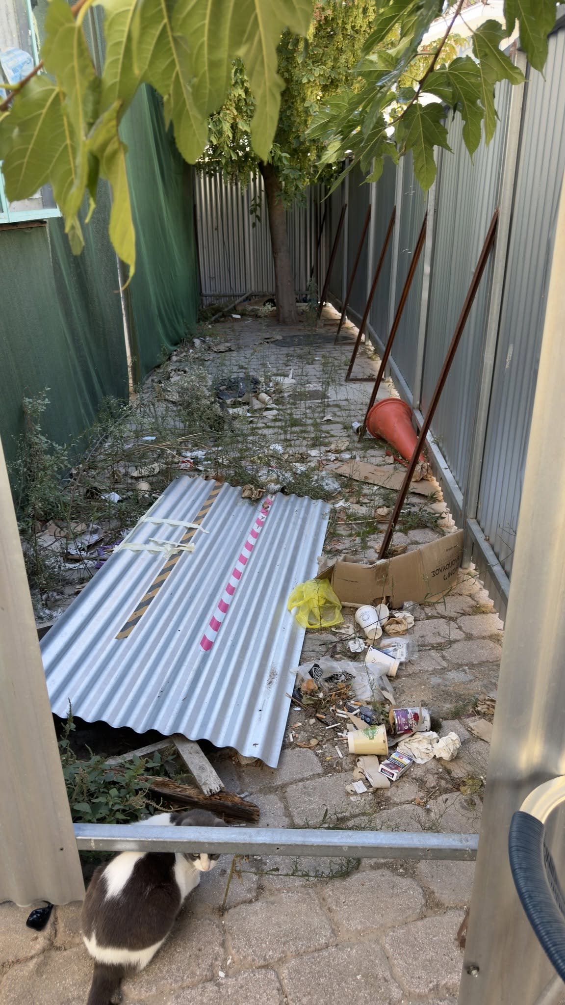 «Σκιάθος για Όλους»: Σκληρή κριτική στη Δημοτική Αρχή για την κακοκαιρία – Συγχαρητήρια σε Περιφέρεια, Αστυνομία και Πυροσβεστική