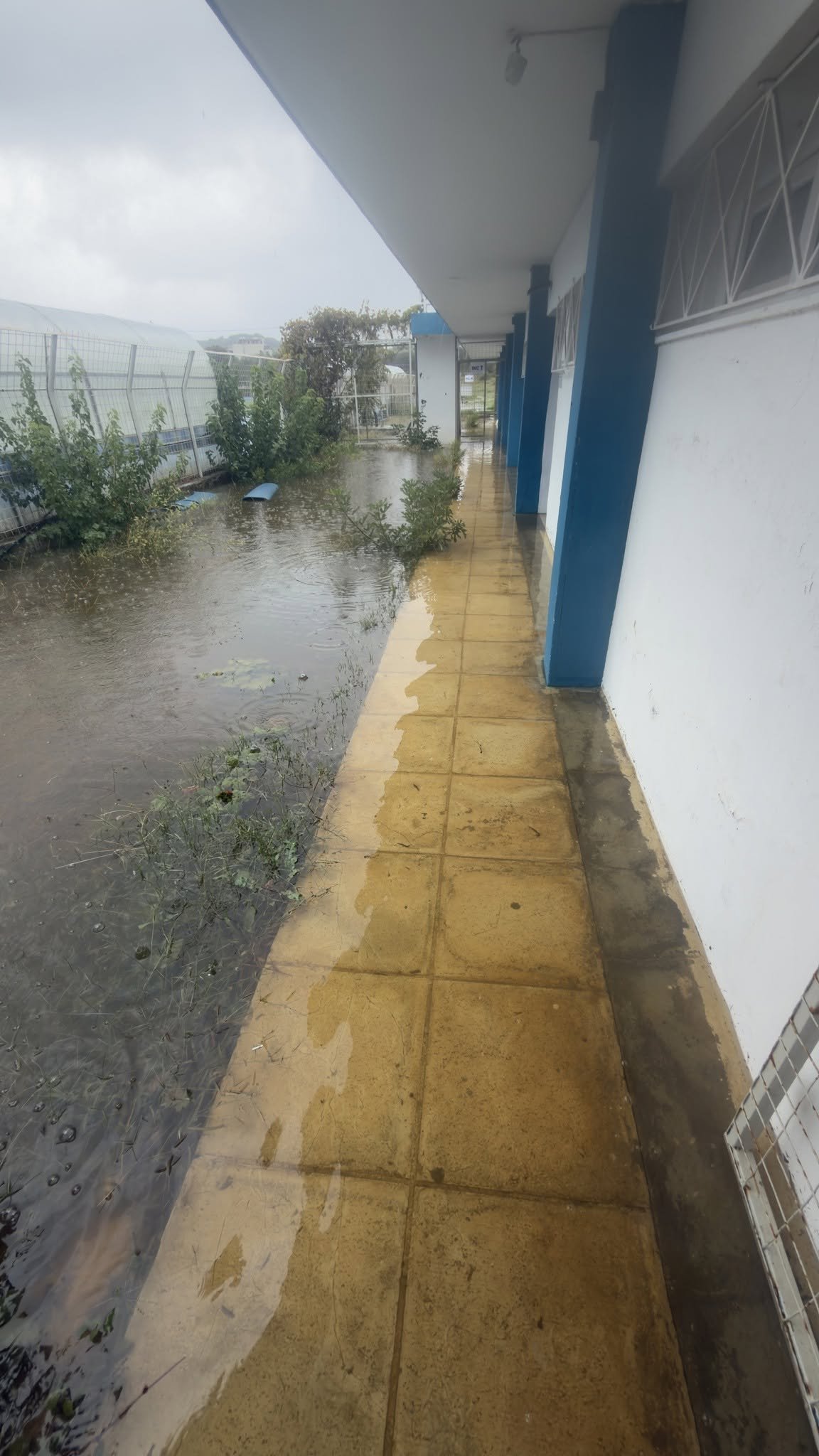 «Σκιάθος για Όλους»: Σκληρή κριτική στη Δημοτική Αρχή για την κακοκαιρία – Συγχαρητήρια σε Περιφέρεια, Αστυνομία και Πυροσβεστική