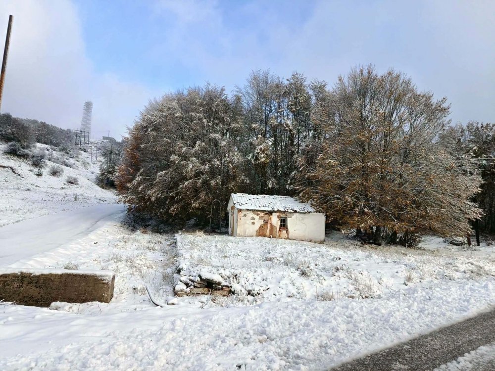 Χιόνισε στο Πήλιο | Εντυπωσιακές εικόνες 