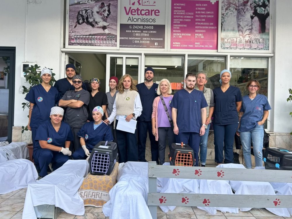 Μια εξαιρετική αρχή για τις στειρώσεις γατών στην Αλόννησο! 