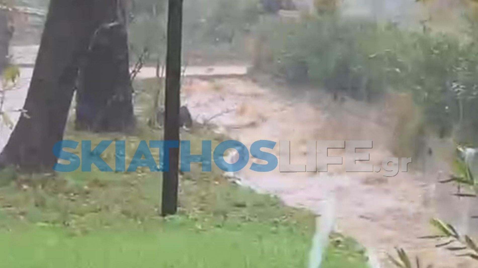 ΣΚΙΑΘΟΣ: Έκλεισε ο δρόμος προς Πλατανιά – Στα όριά του το ρέμα, ανησυχούν οι κάτοικοι (Αποκλειστικό video)